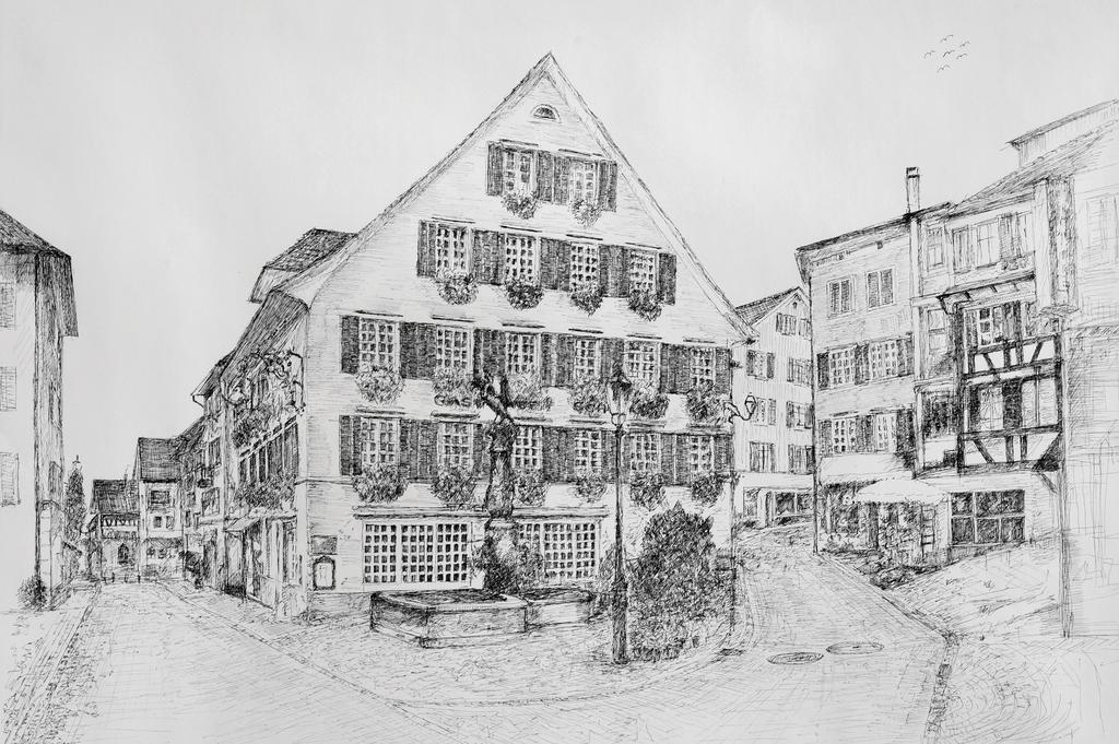 Romantik Hotel Schwan Horgen Eksteriør billede